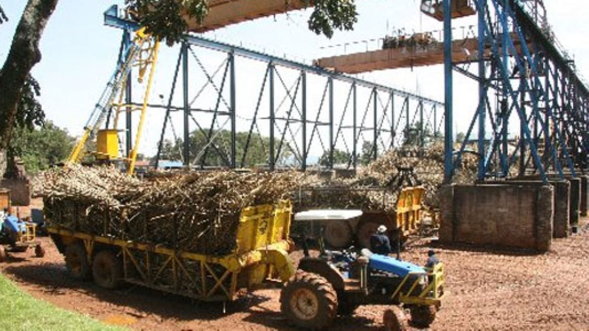 Rucks Deliver Sugar Cane At Nzoia.