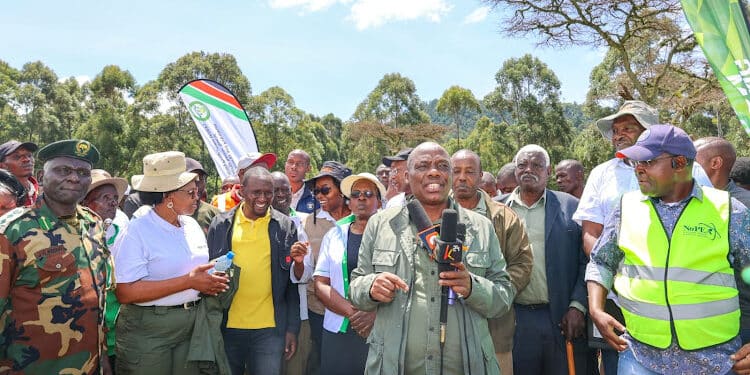 Linturi Rules Out Compensation For Farmers Hit By Floods 