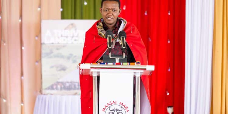 Maasai Mara Announces Internship Opportunities, How To Apply Maasai Mara Unveils 6-Month Internship Opportunities
