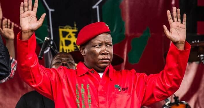 Malema Eyes Alliance After Anc Party'S Historic Loss