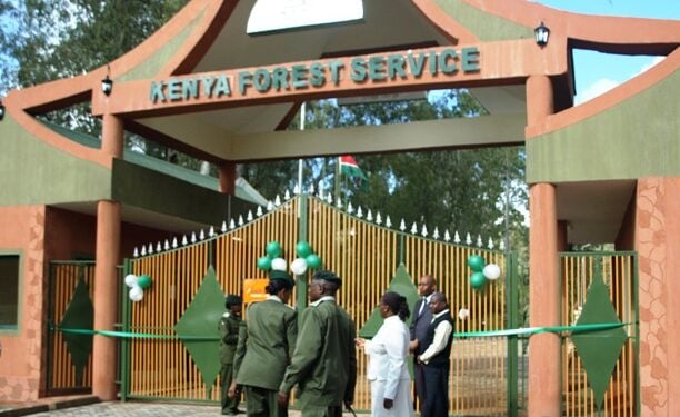 Kfs Announces Auction Of Vehicles &Amp; Tyres: How To Bid Kenya Forest Headquarters. Phot / Courtesy