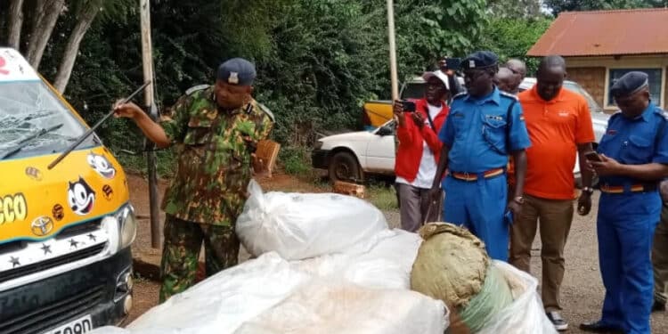 Dci Ejects Traffickers Guised As Passengers From Matatu In Middle Of Highway Dci Arrests Traffickers Guised As Passengers With Bhang