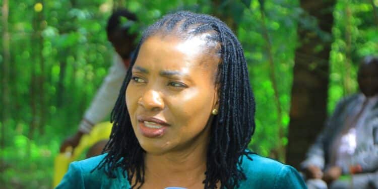 Mp Sets Record Straight Over Reported Beef With Charlene Ruto Mp Nyamai Clarifies Remarks Over Charlene Ruto'S Donation