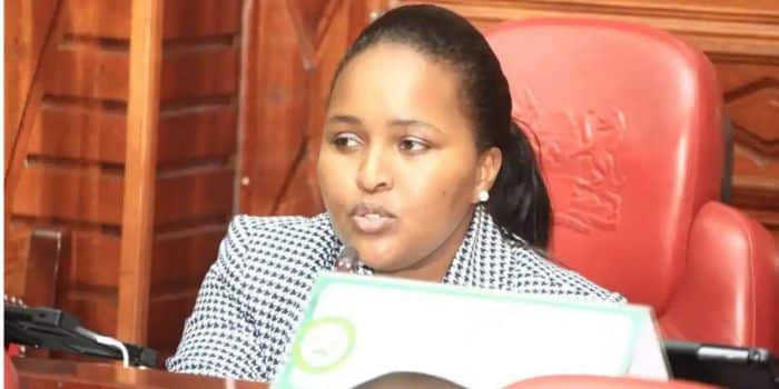 Lesuuda On New Internships Bill
