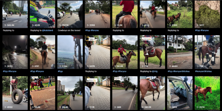  Malieng0_0 &Amp; His Horse