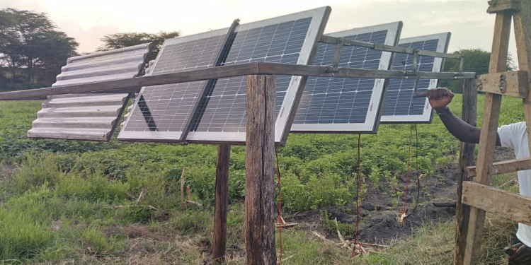 Taswira Agrovoltaics Projects. Photo\Courtesy