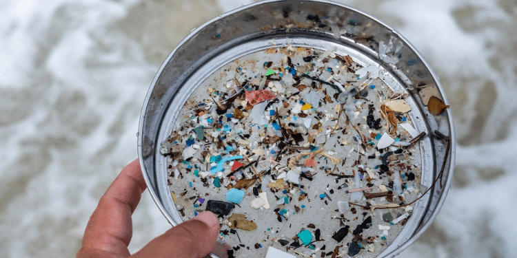 Photo Of Microplastics. Photo/ Courtesy