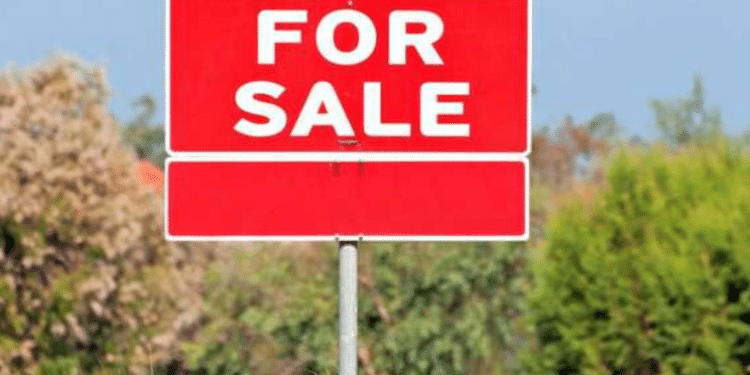 A Land On Sale In Kenya. Photo/ Courtesy