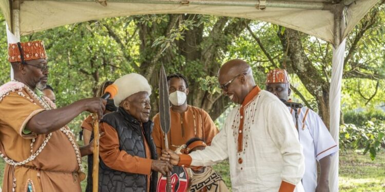 Wanjigi
