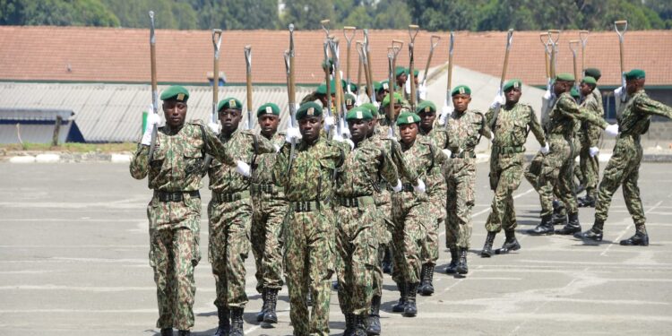 Nys Announces Job Opportunities For Its Graduates