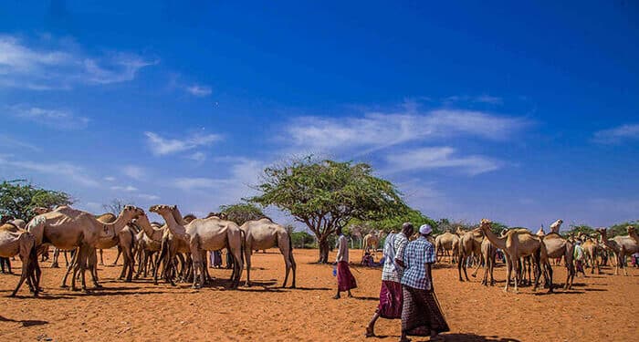 Kenya Met Weather Outlook For September 7 To September 11