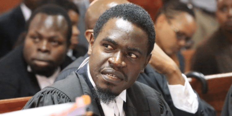 Lawyer Nelson Havi, 49Th President Of The Law Society Of Kenya. Photo/Courtesy