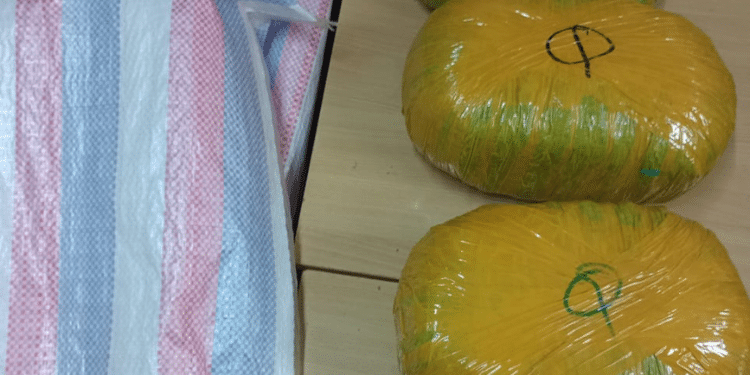 Bhang Is Already Banned. Why Isn'T Alcohol? Part Of The Ksh990K Worth Of Bhang. Photo/ Dci
