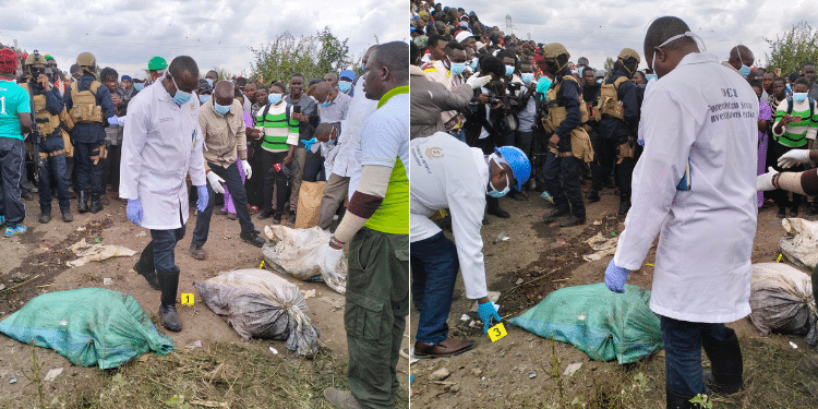 Some Of The Bodies Retrieved On July 13. Photo/ Courtesy