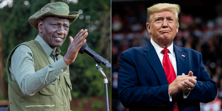 A Photo Collage Of Kenyan President William Ruto Former U.s President Donald Trump. Photo/Courtesy.