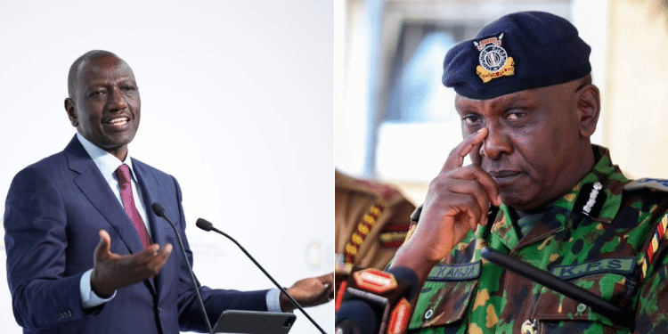 Khrc Issues Fresh Demands To Ruto On Appointing Police Ig