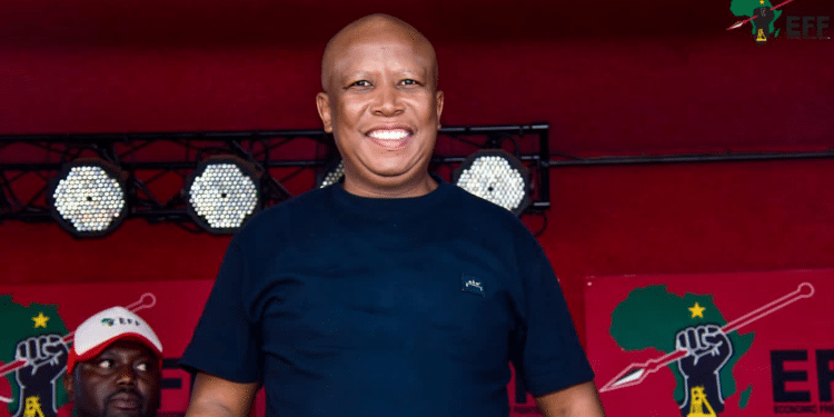 Leader Of South Africa’s Economic Freedom Fighters (Eff), Julius Malema. Photo/Malema(X)