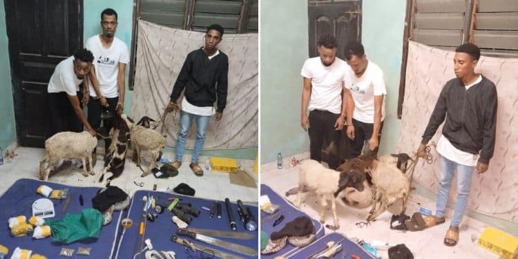 Dci Arrest 3 Leaders Of A Notorious Mombasa Gang