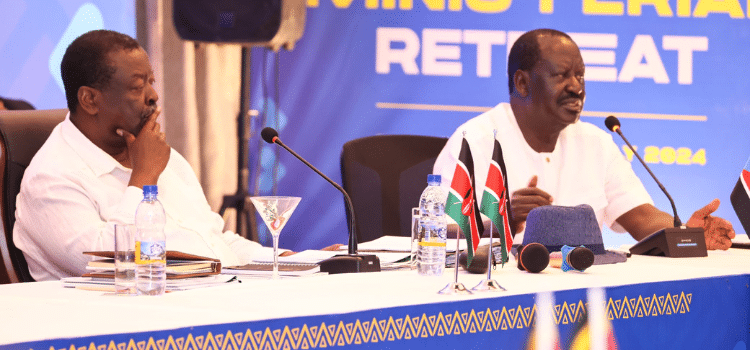 Raila: Why I Am The Best For African Union Commission Job Raila Outlines Vision For Africa Ahead Of Auc Election