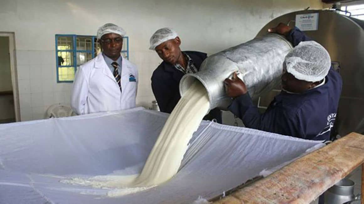 Three Dragged To Court For Stealing Condemned Milk 