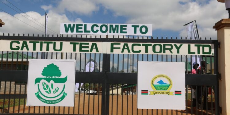 Nyayo Tea Zones Development Corporation Gatitu Tea Factory. Photo/Ntzdc.