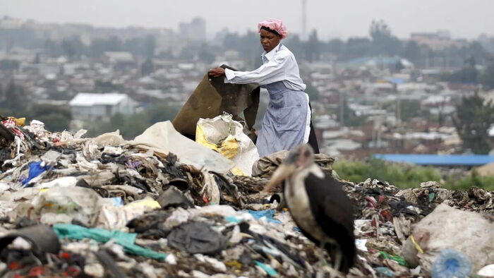 Nema Introduces Color Codes For Waste Bags