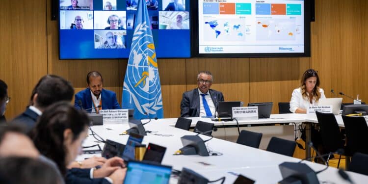 The International Health Regulations Emergency Committee On Mpox During A Meeting On August 14, 2024. Photo/Who X.