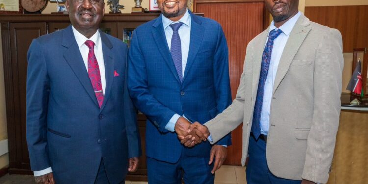 Raila Junior Clarifies Viral Video Of Greeting Supporters Through Fence Raila Junior Dismisses Claims He Greeted Wananchi At Ruto’s Home In Viral Video