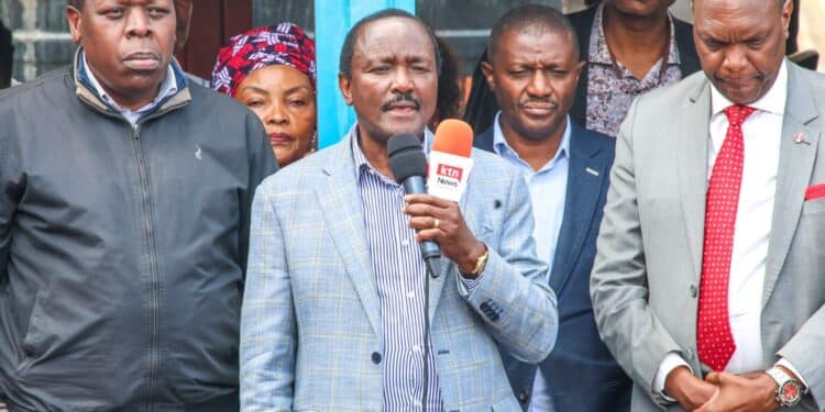 Wiper Leader Kalonzo Musyoka Speaking In Royasambu, Nairobi On August 25, 2024. Photo/ Wiper Party.