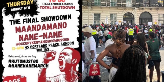 Nane Nane March: Kenyans In Uk Announce March To Embassy