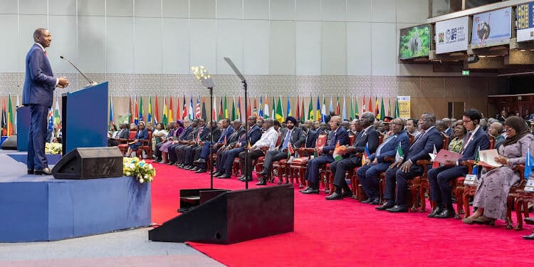 Is Africa A Racial Slur And Should The Continent Be Renamed?