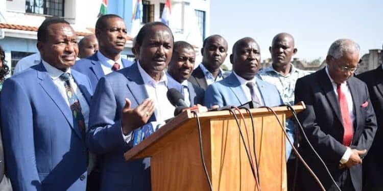Farah Maalim: Daadab Mp Calls For Disbandment Of Ncic