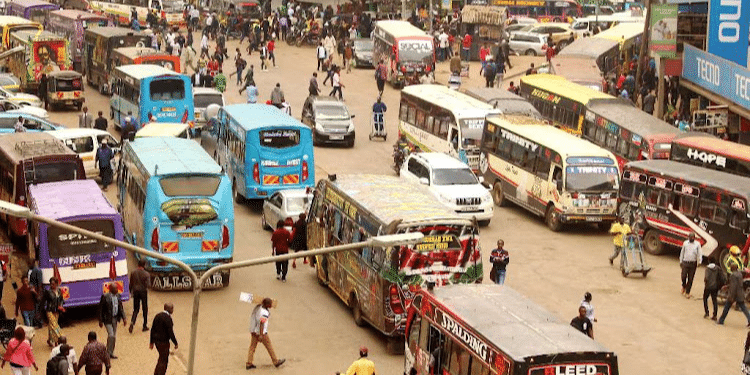 Features Of Popular Matatu Linked To Son Of Senior Govt Official Matatus Along Tom Mboya Street In Nairobi. Photo/ Courtesy