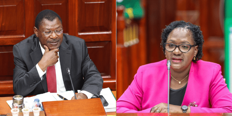 Stella Soi: Kericho Leaders Call For Cs Nominee From County