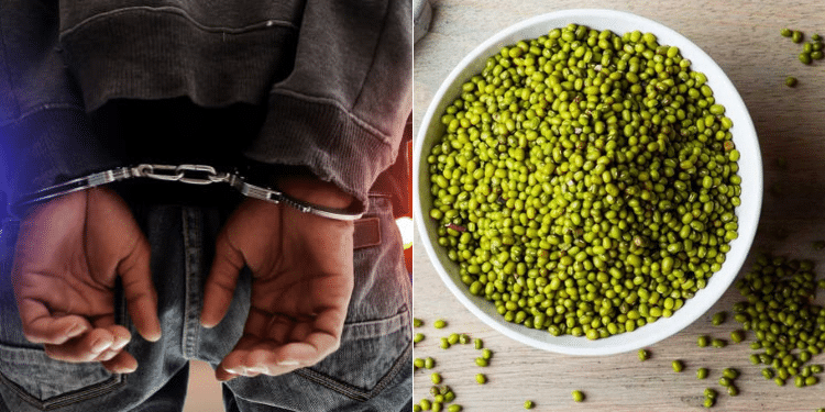 Penalties For Unlicensed Ndengu Growers: Mung Beans Bill
