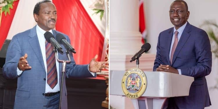 Kalonzo To Work With Ruto If Political Tension Escalates