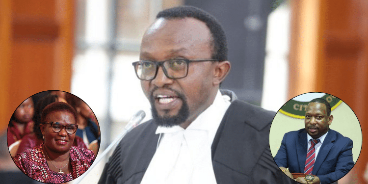 Lawyer Ndegwa Njiru And Insets On Kawira Mwangaza And Mike Sonko. Photo/ Courtesy