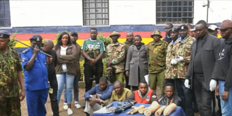 Police Officer Arrested With Rhino Horns, Guns &Amp; Bullets
