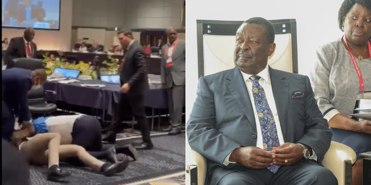 Ticad: Diplomats Clash In Japan Meeting Attended By Mudavadi
