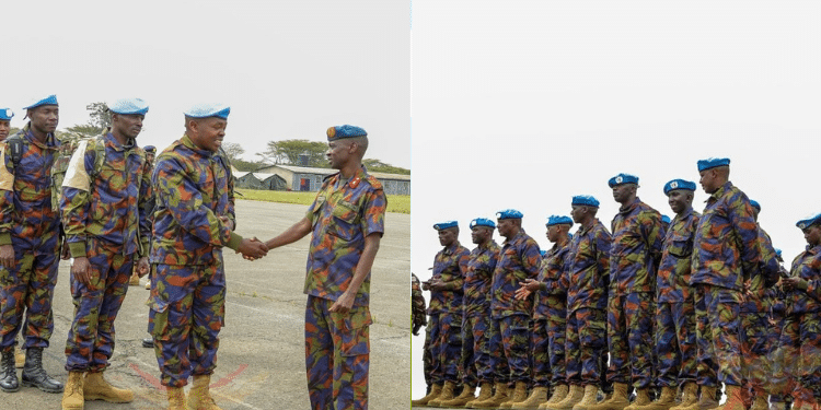 Congo, Drc