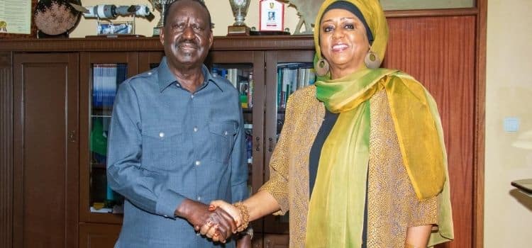  Auc: Raila Odinga'S Auc Bid Campaigns Gains Momentum