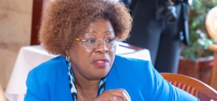 Wahome Profile: Net Worth, Educational Background, Career