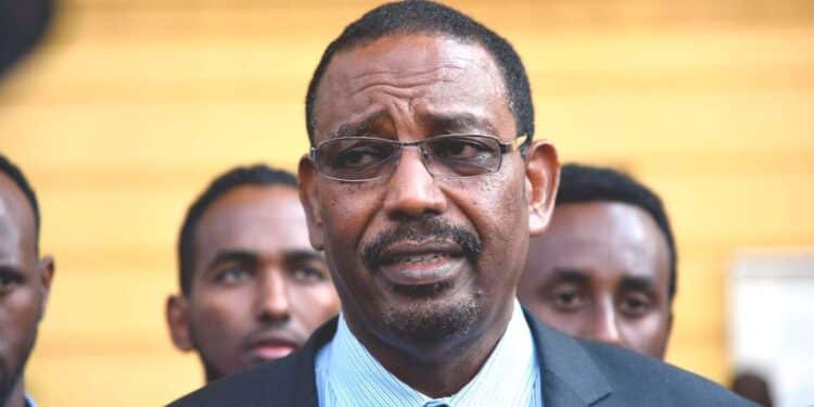 Farah Maalim: Daadab Mp Calls For Disbandment Of Ncic