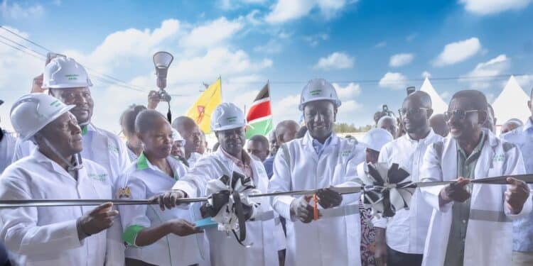 President William Ruto, Dp Rigathi Gachagua And Siaya Governor James Orengo Commissioning The Usonga Siriwo Rice Mill In Siaya County. Photo/Pcs. Sabina Chege