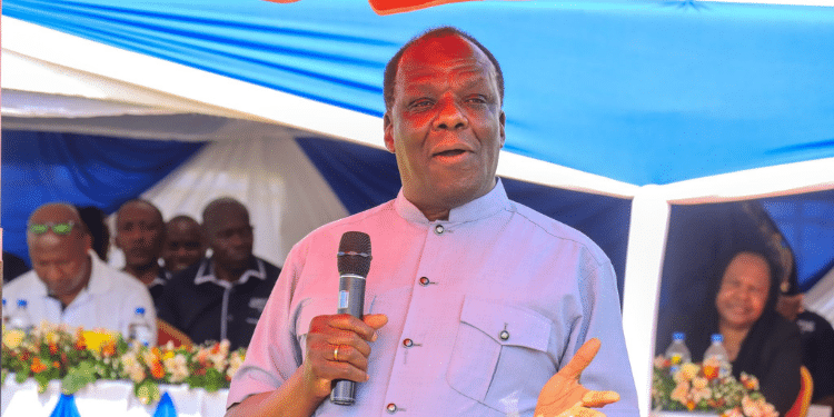 Cooperatives Cs Calls For Audit In Saccos Amid Struggles