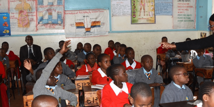 Top Career Options For Grade 10 Learners In Kenya’s Technical Studies Track