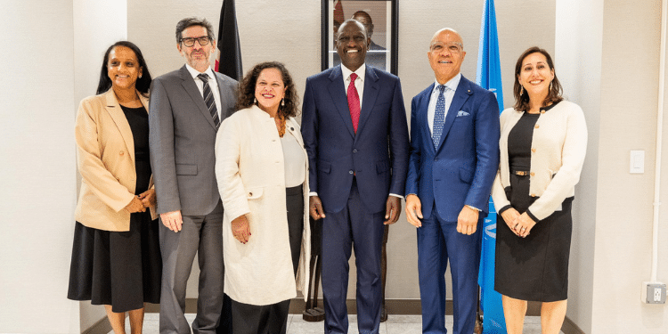 Details Of Ruto'S Meeting With Ford Foundation President