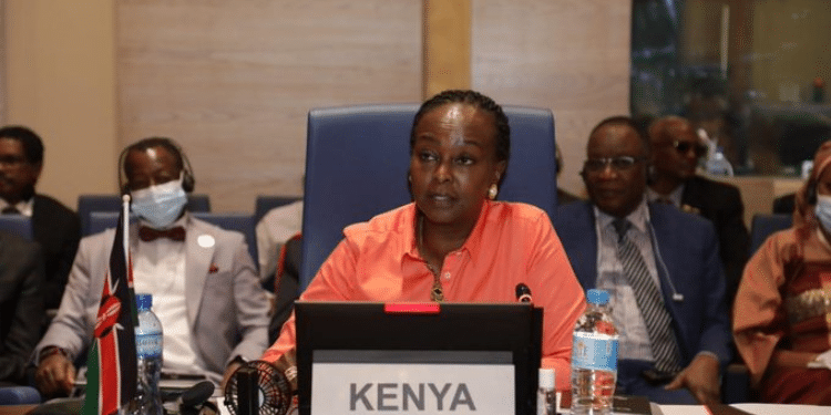 Kenyan Jean Kamau Appointed To Un Job