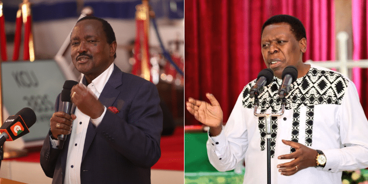 Jkia-Adani Deal Whistleblower Claims His Life Is In Danger Wiper Party Leader, Stephen Kalonzo Musyoka(Left), Dap-K Party Leader, Eugene Wamalwa (Right)