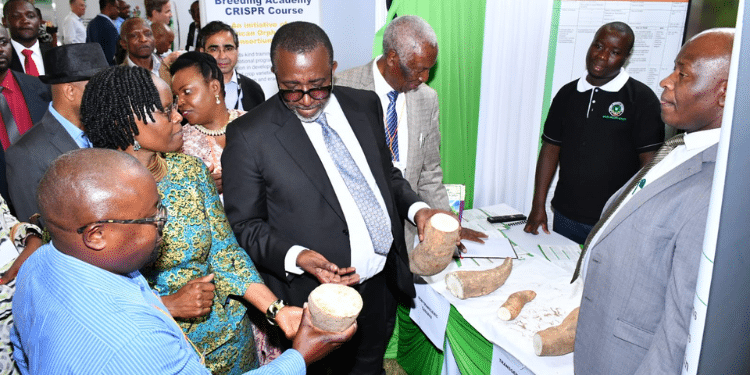 Former Agriculture Cs Mithika Linturi Interacting With National Biosafety Officers At An Exihibition. Photo/ Nba